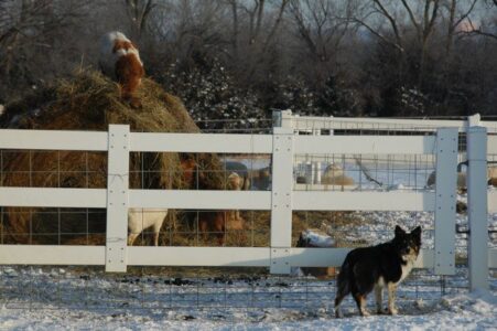 Rancho Cappuccino Case Study: Is It Beautiful? Image